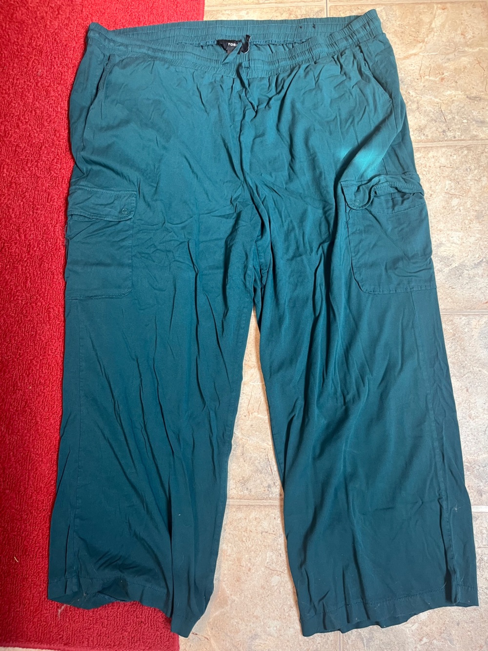 torrid Teal Green Cargo Pants